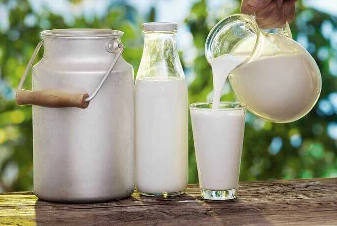 Риски употребления коровьего молока для детей