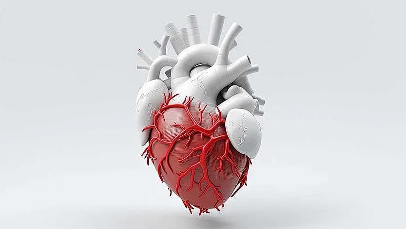 Симптомы ишемической болезни сердца, на которые стоит обратить внимание